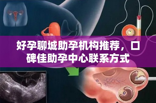 好孕聊城助孕机构推荐，口碑佳助孕中心联系方式