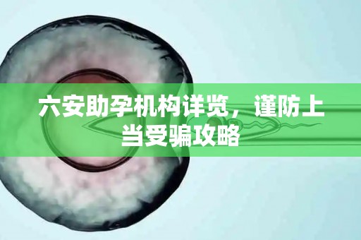 六安助孕机构详览，谨防上当受骗攻略
