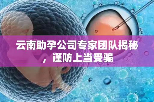云南助孕公司专家团队揭秘，谨防上当受骗