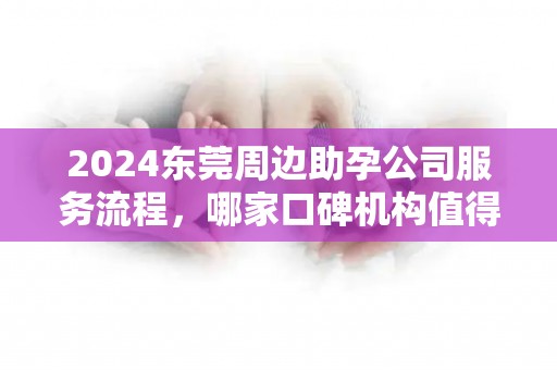 2024东莞周边助孕公司服务流程，哪家口碑机构值得推荐？