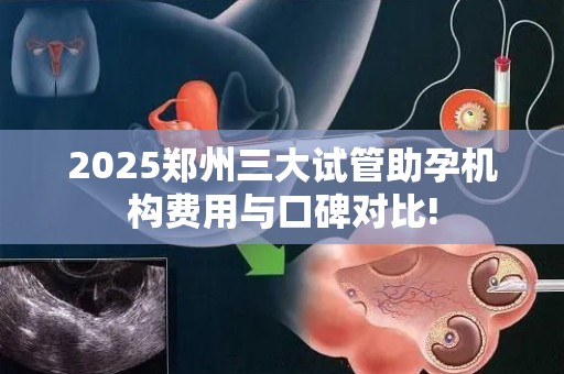 2025郑州三大试管助孕机构费用与口碑对比!