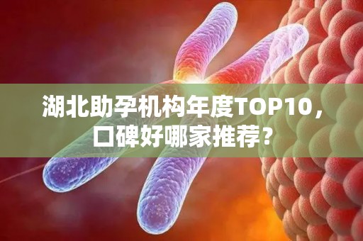湖北助孕机构年度TOP10，口碑好哪家推荐？