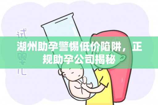 湖州助孕警惕低价陷阱，正规助孕公司揭秘