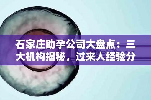 石家庄助孕公司大盘点：三大机构揭秘，过来人经验分享