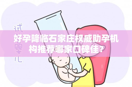 好孕降临石家庄权威助孕机构推荐哪家口碑佳？