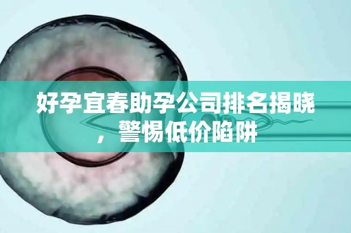 好孕宜春助孕公司排名揭晓，警惕低价陷阱