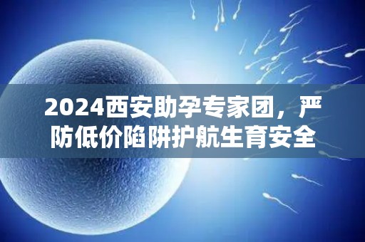 2024西安助孕专家团，严防低价陷阱护航生育安全