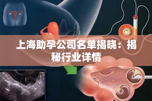 上海助孕公司名单揭晓：揭秘行业详情