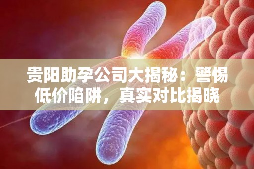 贵阳助孕公司大揭秘：警惕低价陷阱，真实对比揭晓