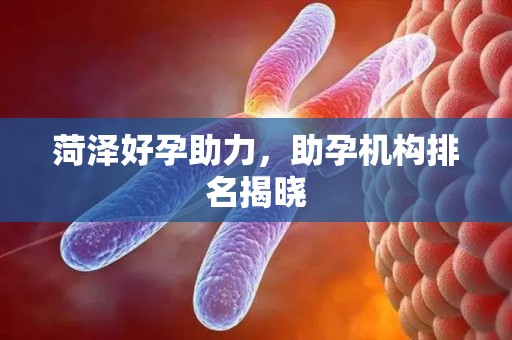 菏泽好孕助力，助孕机构排名揭晓