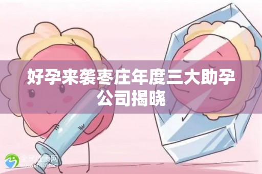 好孕来袭枣庄年度三大助孕公司揭晓