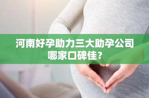 河南好孕助力三大助孕公司哪家口碑佳？