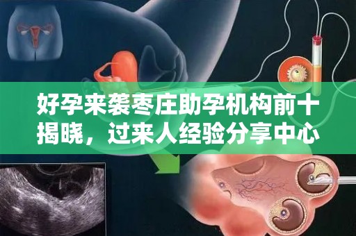 好孕来袭枣庄助孕机构前十揭晓，过来人经验分享中心攻略