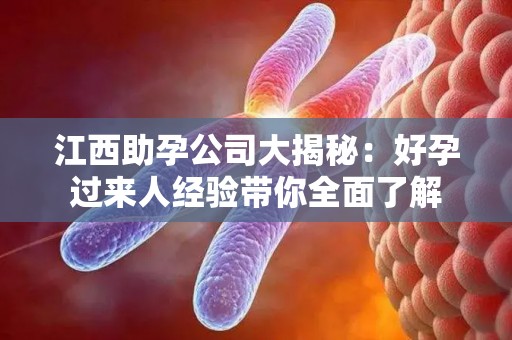 江西助孕公司大揭秘：好孕过来人经验带你全面了解