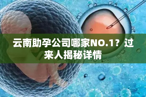 云南助孕公司哪家NO.1？过来人揭秘详情