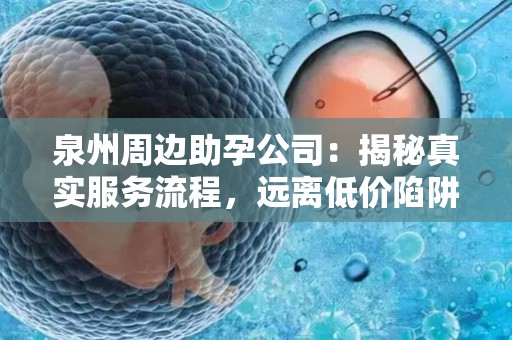 泉州周边助孕公司：揭秘真实服务流程，远离低价陷阱