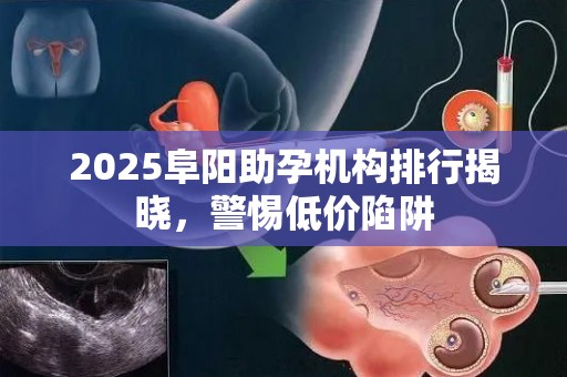 2025阜阳助孕机构排行揭晓，警惕低价陷阱
