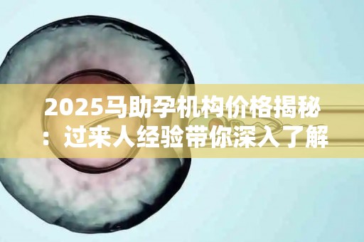2025马助孕机构价格揭秘：过来人经验带你深入了解