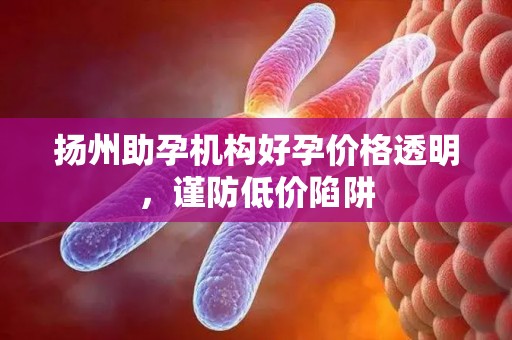 扬州助孕机构好孕价格透明，谨防低价陷阱