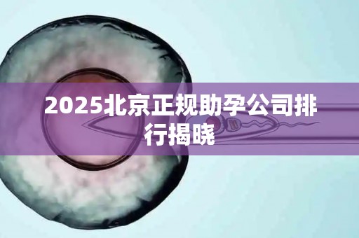 2025北京正规助孕公司排行揭晓
