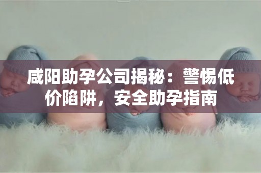 咸阳助孕公司揭秘：警惕低价陷阱，安全助孕指南