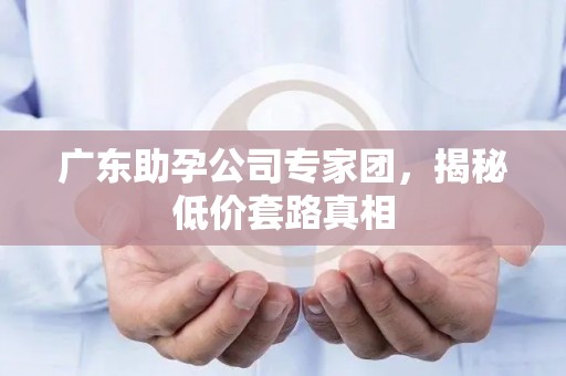 广东助孕公司专家团，揭秘低价套路真相