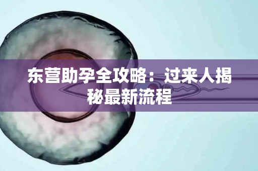 东营助孕全攻略：过来人揭秘最新流程