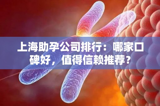 上海助孕公司排行：哪家口碑好，值得信赖推荐？