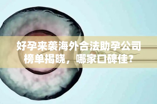 好孕来袭海外合法助孕公司榜单揭晓，哪家口碑佳？