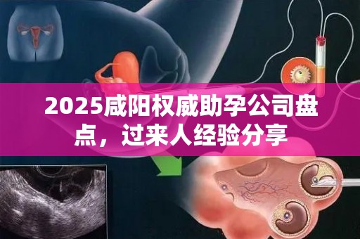 2025咸阳权威助孕公司盘点，过来人经验分享