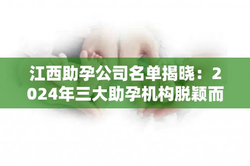 江西助孕公司名单揭晓：2024年三大助孕机构脱颖而出