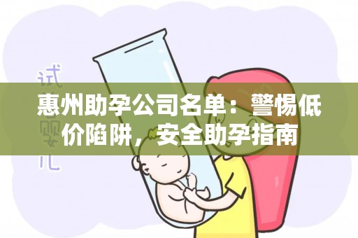 惠州助孕公司名单：警惕低价陷阱，安全助孕指南