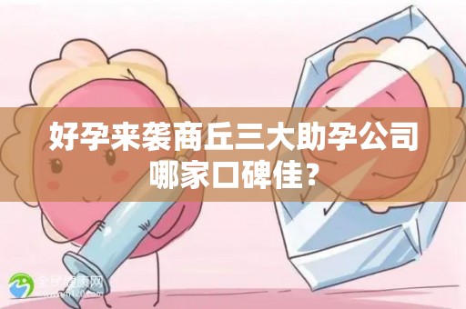 好孕来袭商丘三大助孕公司哪家口碑佳？
