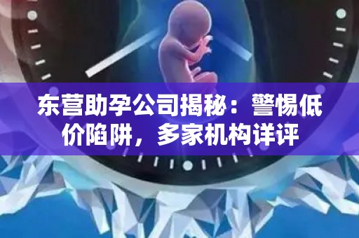 东营助孕公司揭秘：警惕低价陷阱，多家机构详评