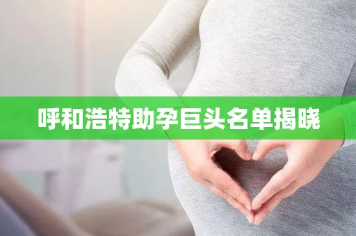 呼和浩特助孕巨头名单揭晓