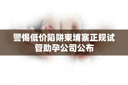 警惕低价陷阱柬埔寨正规试管助孕公司公布