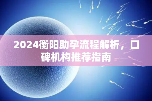 2024衡阳助孕流程解析，口碑机构推荐指南