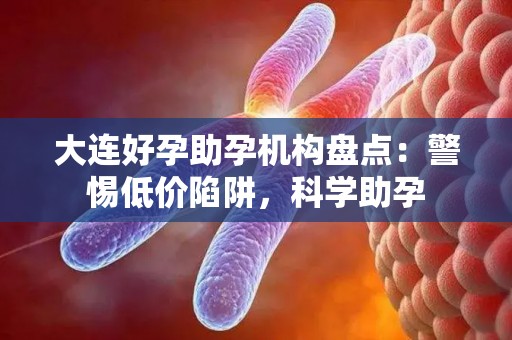 大连好孕助孕机构盘点：警惕低价陷阱，科学助孕