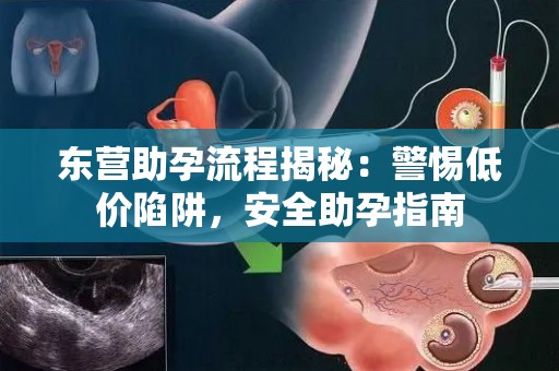 东营助孕流程揭秘：警惕低价陷阱，安全助孕指南