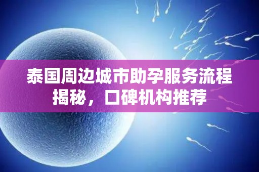 泰国周边城市助孕服务流程揭秘，口碑机构推荐