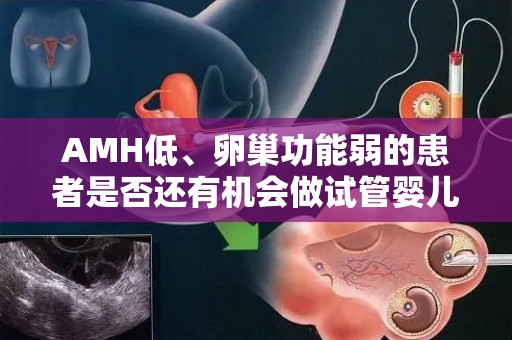 AMH低、卵巢功能弱的患者是否还有机会做试管婴儿呢