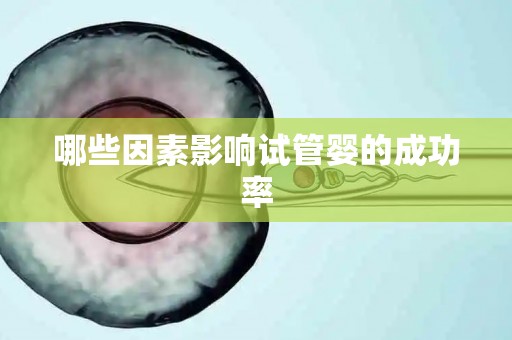 哪些因素影响试管婴的成功率