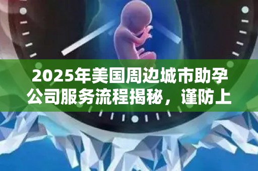 2025年美国周边城市助孕公司服务流程揭秘，谨防上当