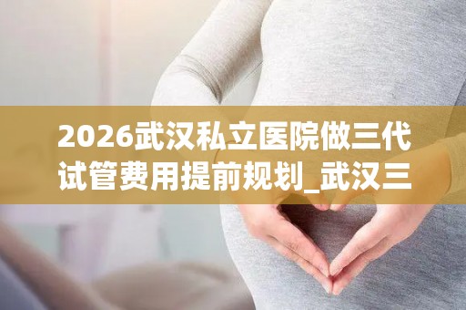 2026武汉私立医院做三代试管费用提前规划_武汉三代试管医院名册!