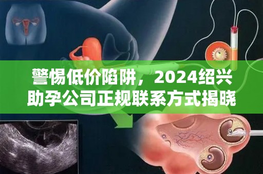 警惕低价陷阱，2024绍兴助孕公司正规联系方式揭晓
