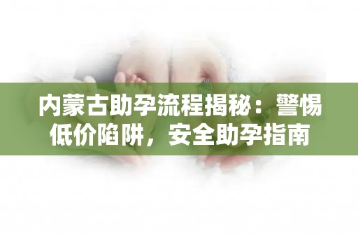内蒙古助孕流程揭秘：警惕低价陷阱，安全助孕指南