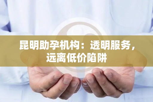 昆明助孕机构：透明服务，远离低价陷阱