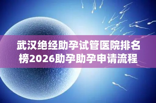 武汉绝经助孕试管医院排名榜2026助孕助孕申请流程参考 (2)
