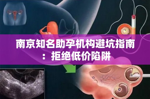 南京知名助孕机构避坑指南：拒绝低价陷阱