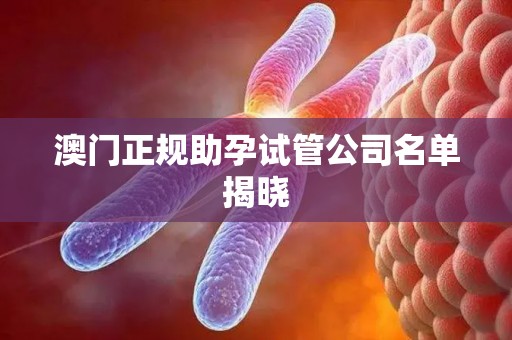 澳门正规助孕试管公司名单揭晓